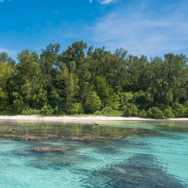 Will Papua New Guinea ratify Bougainville independence?