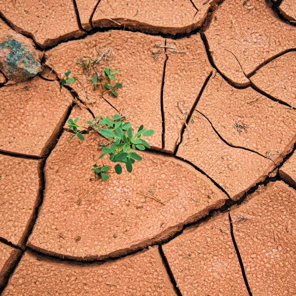 Which states will experience exceptional drought? (6/4 - 7/30)