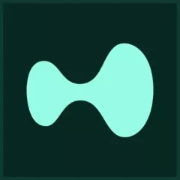 HYPE price at the end of the year?
