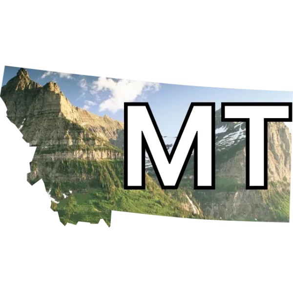 MT-01 Democratic nominee? prediction market