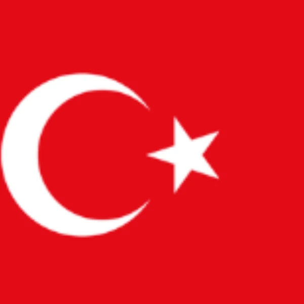 Who will win the next Turkish general election?