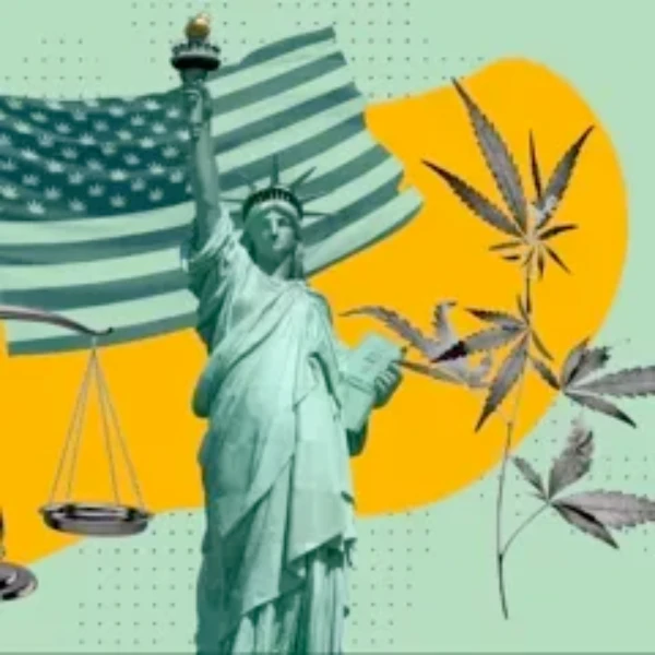 Will SCOTUS uphold the federal gun ban for marijuana users? prediction market