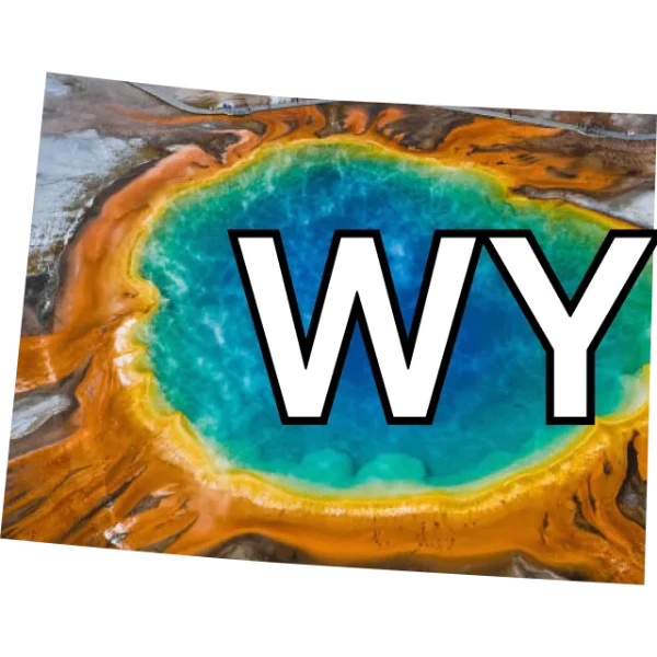 Wyoming Republican Senate nominee?