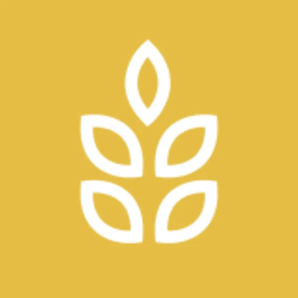 Wheat price on Apr 30, 2026 at 5pm EDT?